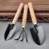 3 Pcs Tools Mini Tools Gardending Hand Tools Kit for Seedling for