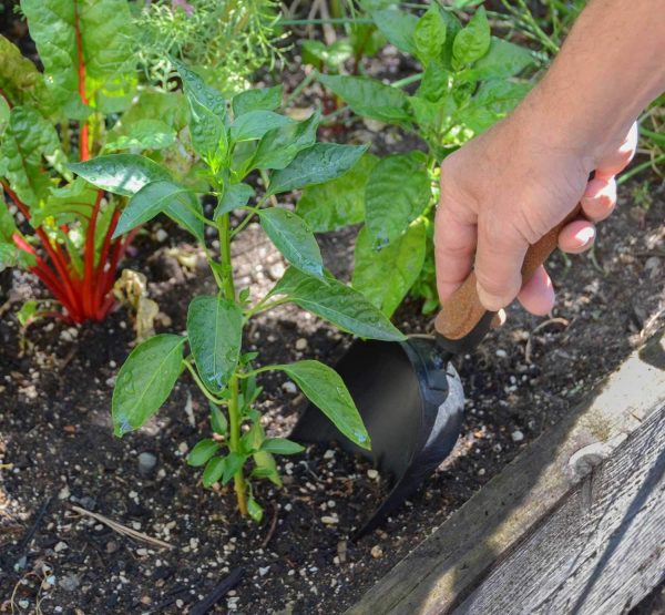 Tool Set 5 Pieces Heavy Duty Powder Coated Steel Cork Handle